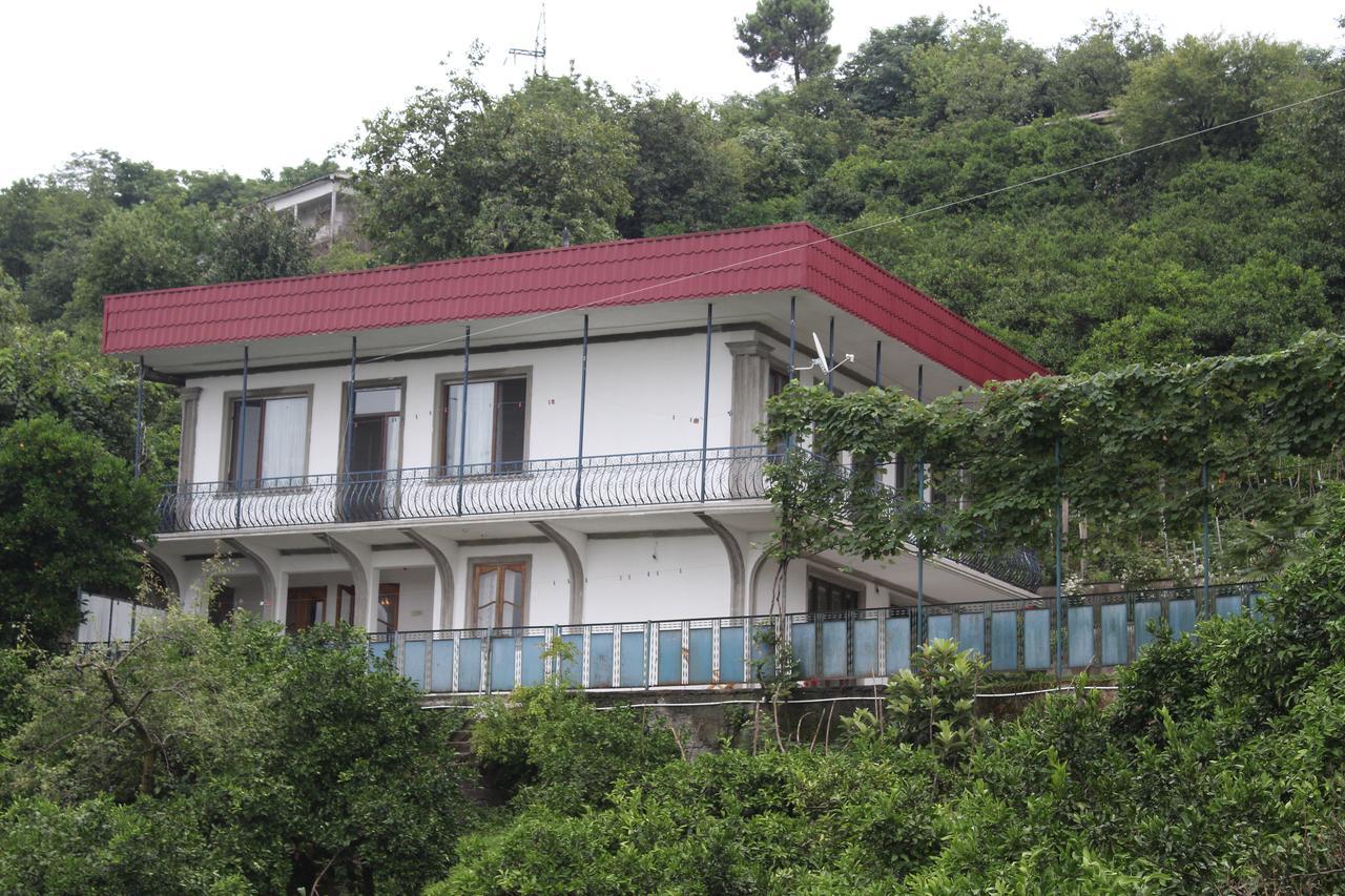 Villa Near The Batumi Exterior photo